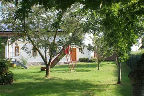 Fewo venstre - Rügen-Fewo 287 - Image 2