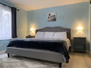 **Luxury** - Newly Renovated 3 BR Oasis - Canton/Plymouth/Ann Arbor - Image 3