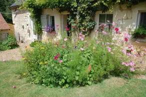COUNTRY PROPERTY ON THE EDGE OF FOREST AND VINEYARDS - Image 3