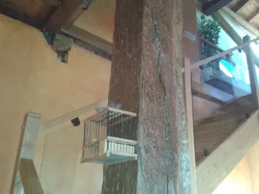 Landhaus (Vollvermietung) Lecea y Alianzas für 13 Personen - Image 2