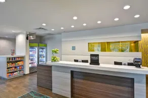 Tampa’s Gem: 2 Units Near Busch Gardens. Onsite Pool, BBQ Facilities! - Image 4
