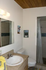 Schönes Haus mit Pool, privat, in der Nähe von UA & Downtown, Kunst. Tolle Preise! - Image 4