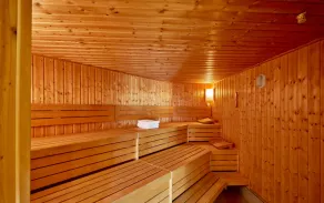 ESCLUSIVA sauna a 4 ****, piscina privata, camino, idromassaggio - Image 4