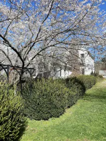 Fairview Meadows Private Suite - 5 min from Lake Anna - Image 2