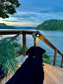 Clearwater Shores-Waterfront Stunning Views-Smith Lake, AL-5 Bedrooms-Near I-65 - Image 2