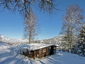 Spacious Chalet in Wörgl-boden near Ski Area - Image 5