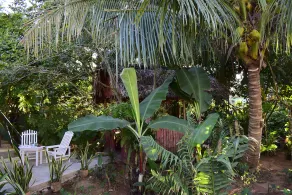Casa La Ceiba - Image 5
