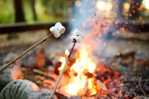 Cook Forest/FREE WIFI,Firewood,A/C, Dog Stay - Image 2