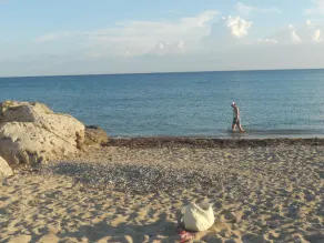Ideal for families, groups of friends, animal lovers, the sea and the green - Image 2