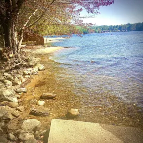 Cottage by the Lake #3 - Blossoms - Image 2