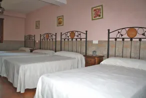 Schöne Villa auf einem privaten Grundstück mit Oliven- und Obstbäumen - Image 4