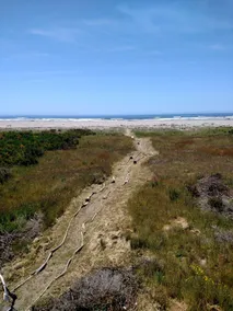 Private Oceanfront Home-Beach Path-Large Deck-BBQ-Fantastic Ocean Views- NICE - Image 5