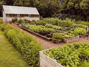 Green Cottage Farm Stay & Food - Image 4