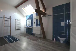 Millepertuis - Image 3
