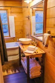 Deer Creek Luxury Cabin | Hot Tub | Sport Court - Image 2
