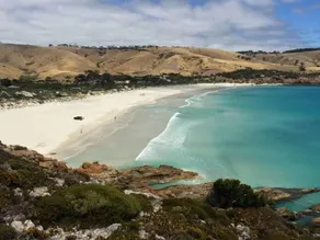 Tammar Ridge - Praia dos Snellings - Image 3