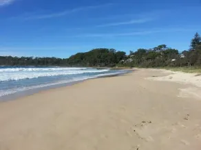 NARRAWALLEE HOLIDAY HOUSE - Image 3