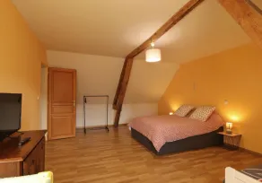 Bright house with enclosed garden, spa, near Perche - Image 4