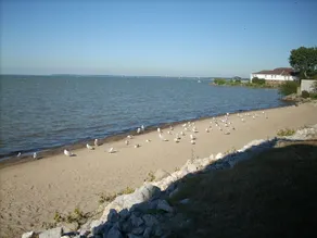 Lake Erie Beachfront Casa de luxo com 3 quartos e piscina e acesso à Internet - Image 2