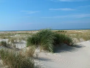 6 personer fritidhus i Rømø - Image 4