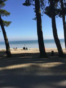 Appartamento con terrazza vista mare, spiaggia a 20 metri, piscina e giardino - Image 5