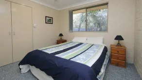 Acacia - Image 5