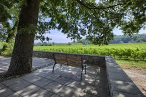 Karakter bed and breakfast i vinmarkerne, 13 km fra Saint-Emilion - Image 5