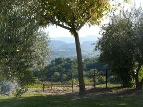 Villa 4 km fra Vaison la Romaine, enestående udsigt på Mont Ventoux - ro på 2,5 hektar jord (oliventræer, frugttræer, trøffel ...) - Image 4