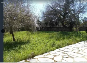 Villa Pasiphae, 2 bedroom house - Image 5