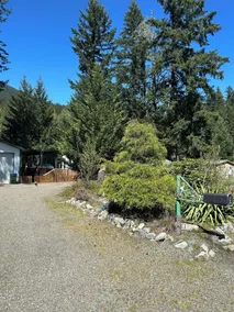 Mountain Frog Cabin - A.C./Sleeps 2/Hot Tub - 30 min. from Rainier/Skiing - Image 3