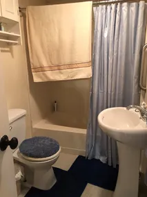 1 Bedroom Updated camp on Secluded Holland Pond - Image 3