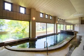 Akakura Hotel - Image 2