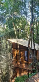 Tree House - Image 5