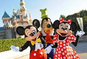 Chambre d'Hôtes Proche de Disneyland et Pas Loin de Paris - Image 2