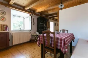 Rural villa Forest with private pool near Dubrovnik - Image 5