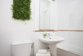 Botanico 102 - Image 3
