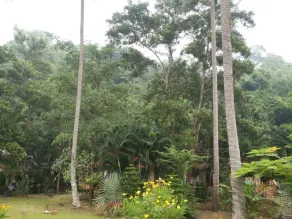 Grand Andaman Resort - Image 2