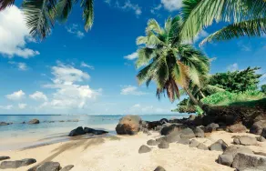 Paniolo 210A - Image 4