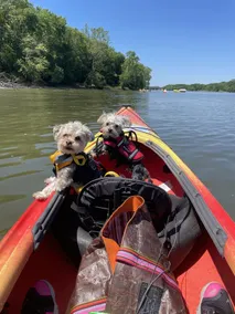 KAYAK STARVED ROCK CAMPGROUND - Image 2