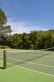 Magnificent Bastide in the heart of alpilles, quiet absolute, exceptional position, private Tennis, Swimming pool warmed 7 rooms 4 bathrooms - Image 2