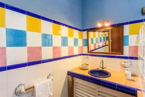 Rural house on a 22-hectare farm. Dehesa, Olivar, trails, swamp and animals - Image 3