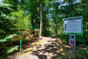 Forest Studio Oasis - Mile from Multnomah Village - Image 5