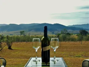 Poppa's Place @ Dalwood, Hunter Valley Vineyards Farmstay - Image 3