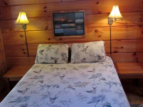 Romantisk bjælkehytte på Creek og 100 Acres, Hot Tub, Wifi, Gas Grill, Vandring - Image 3