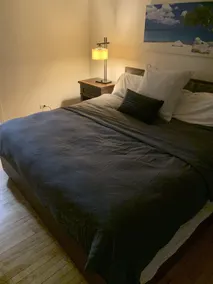 Cozy 3 Bdrm. Apt.  sleeps 5 guests in the historic neighborhood of Oak Park IL - Image 3