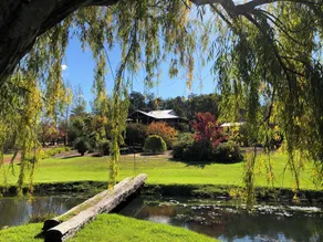 Balingup Camellia Suite - Marian Ponds... Beautiful gardens and swimming pool   - Image 5