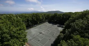 One of the Best Views in Wintergreen! - Image 2