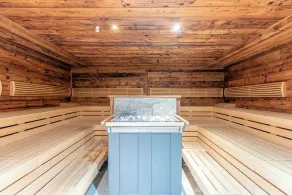 Dorfresort Kitzbühel by ALPS RESORTS - Image 3