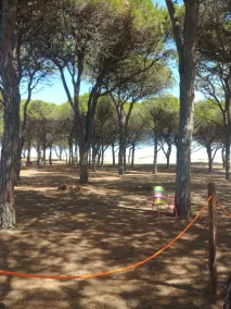 Ferienhaus mit Garten in der Nähe von Budoni Strand! - Image 3