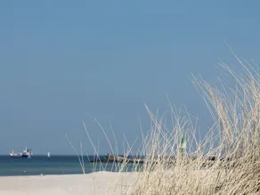 Escape Near Baltic Coast - Image 3